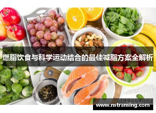燃脂饮食与科学运动结合的最佳减脂方案全解析