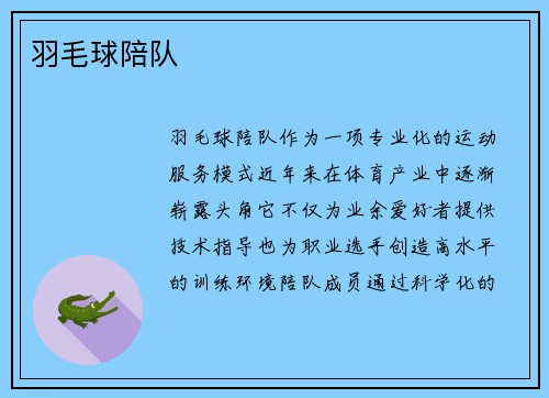 羽毛球陪队